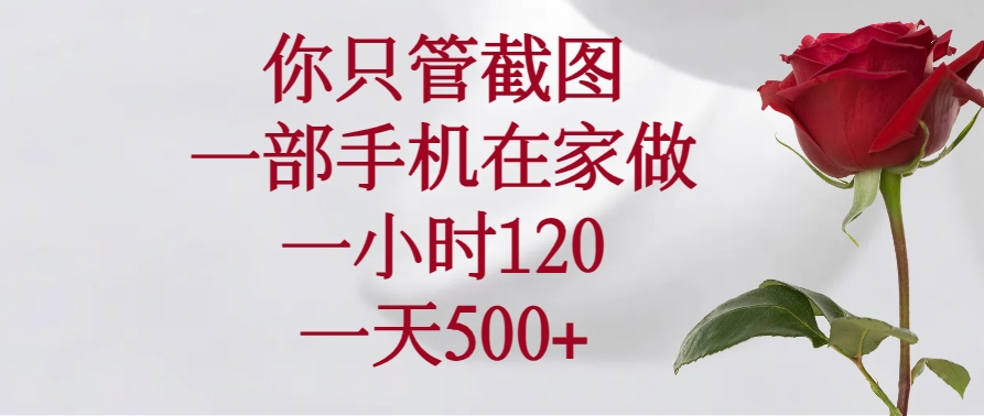 （14248期）你只管截图，一部手机在家做，一小时120，一天500+-九零网创