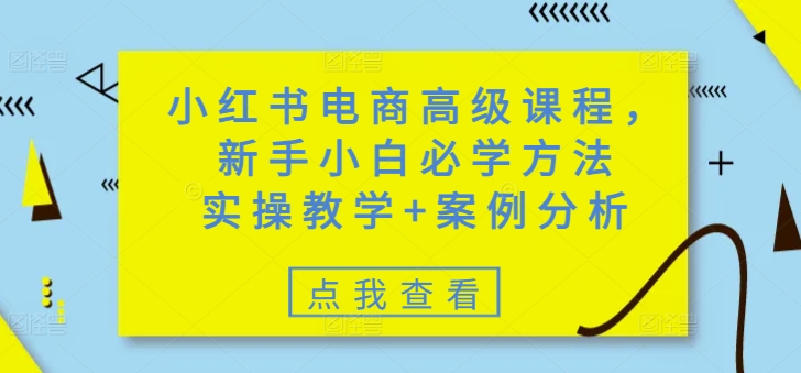 小红书电商高级课程，新手小白必学方法，实操教学+案例分析-九零网创