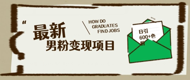 最新男粉变现项目，日引100+S粉，流量爆炸，小白轻松上手-九零网创